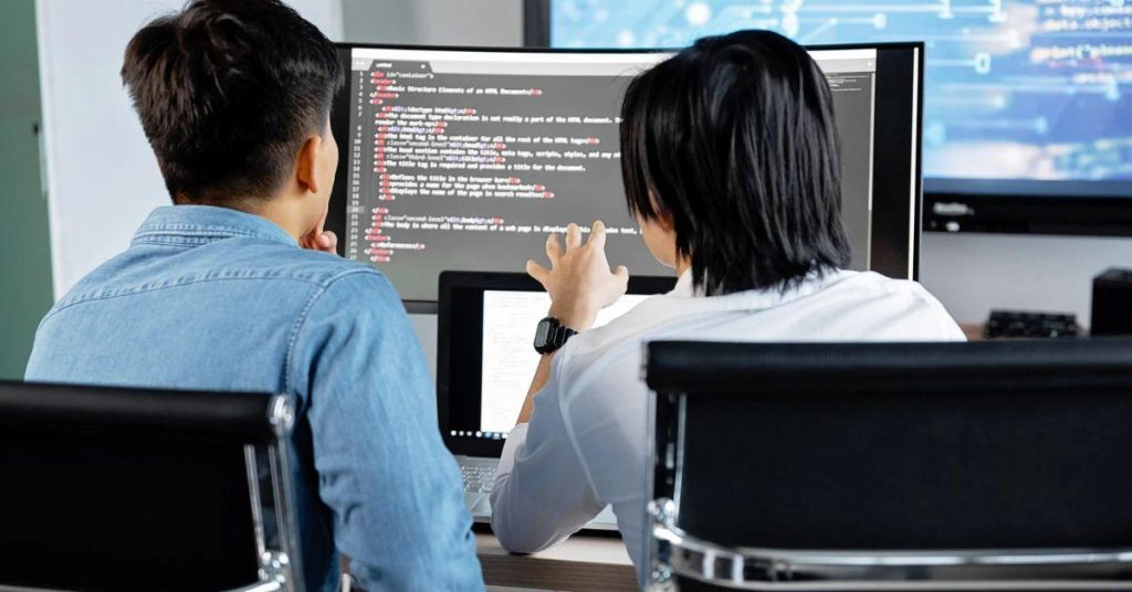 software development consulting services
